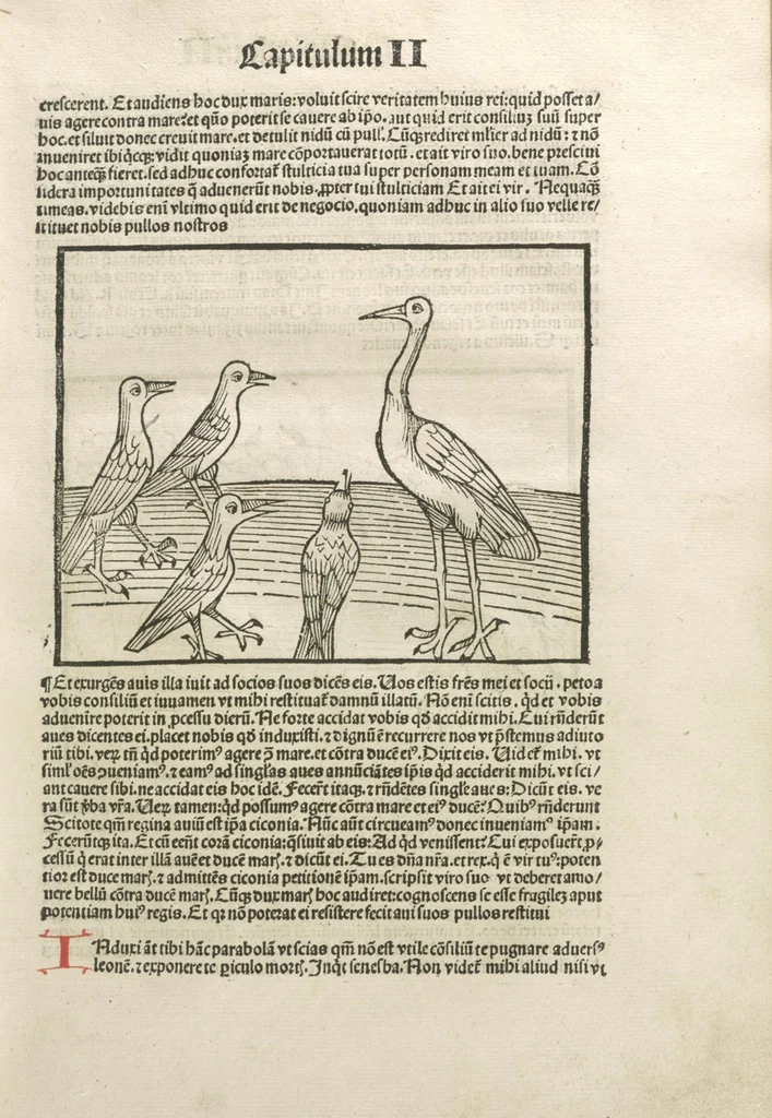 An illustration from Directorium humanae vite, alias Parabole antiquoru[m] sapientu[m], 1488, leaf 54