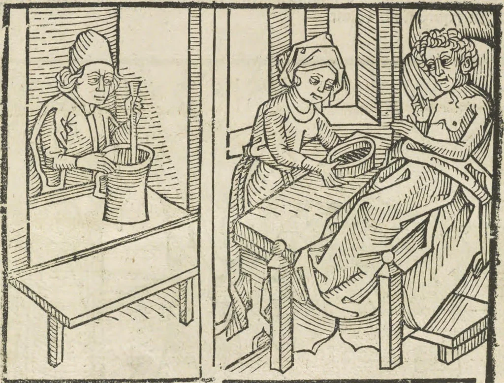 An illustration from Directorium humanae vite, alias Parabole antiquoru[m] sapientu[m], 1488, leaf 61