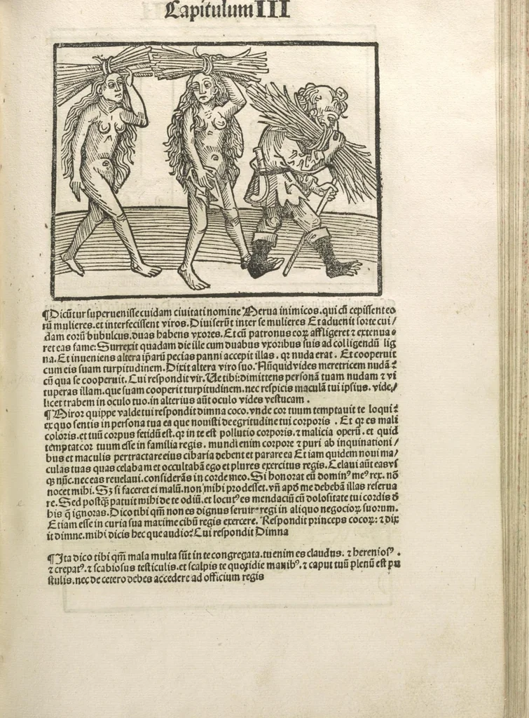 An illustration from Directorium humanae vite, alias Parabole antiquoru[m] sapientu[m], 1488, leaf 76