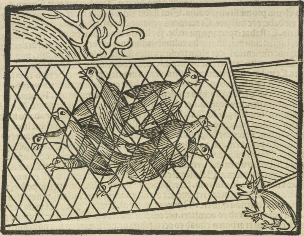 An illustration from Directorium humanae vite, alias Parabole antiquoru[m] sapientu[m], 1488, leaf 85