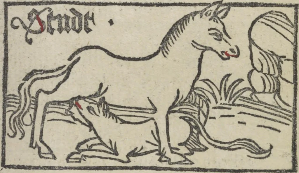 An illustration from De generatione Christi, sive Defensorium inviolatae castitatis B.V. Mariae, 1476, leaf 26