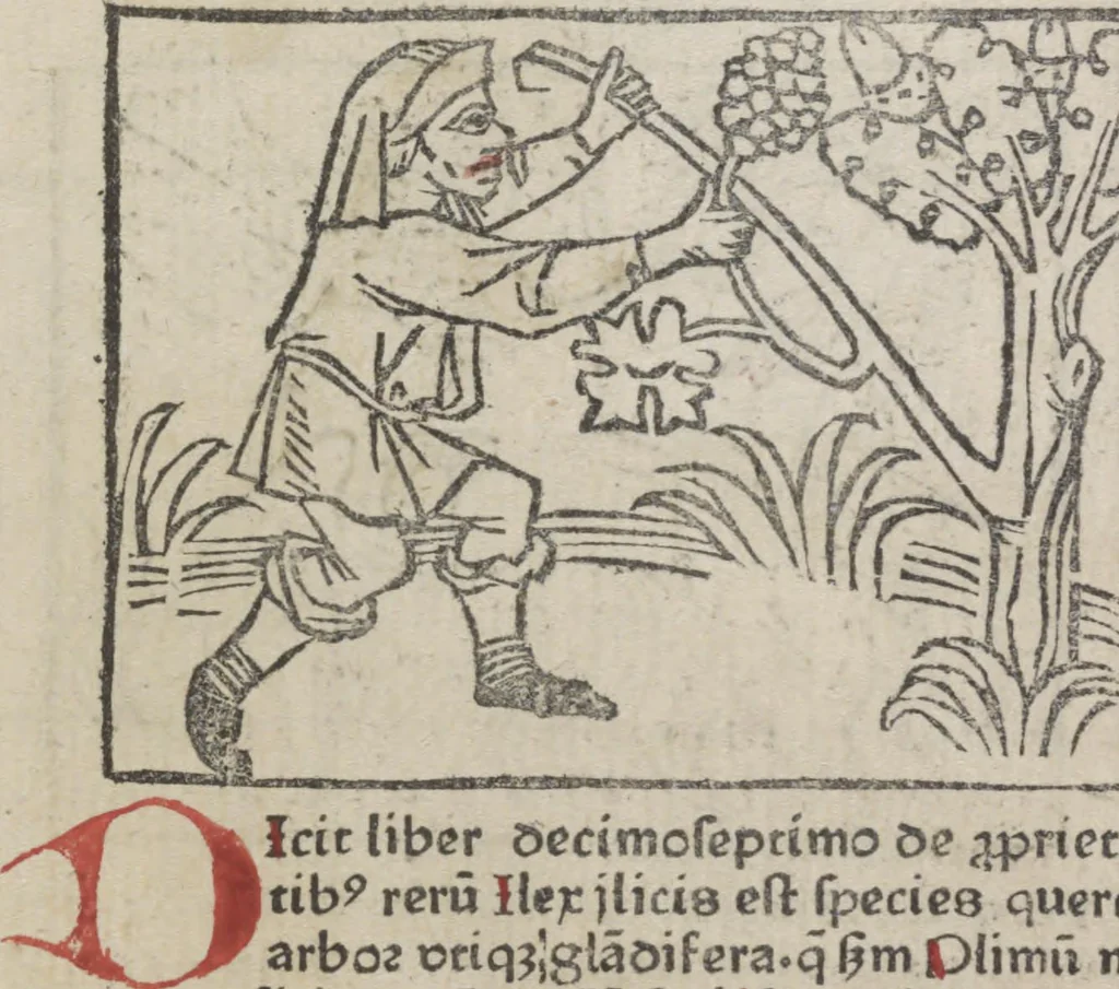 An illustration from De generatione Christi, sive Defensorium inviolatae castitatis B.V. Mariae, 1476, leaf 29