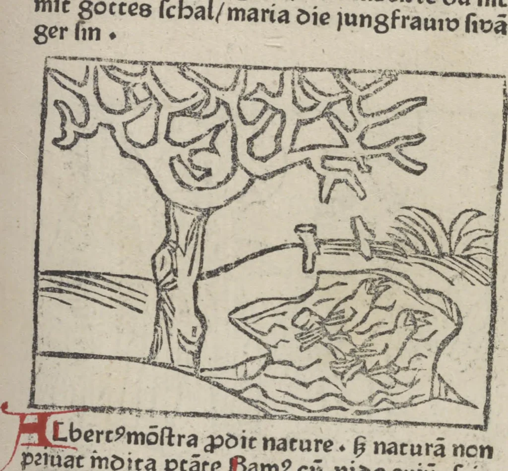 An illustration from De generatione Christi, sive Defensorium inviolatae castitatis B.V. Mariae, 1476, leaf 54