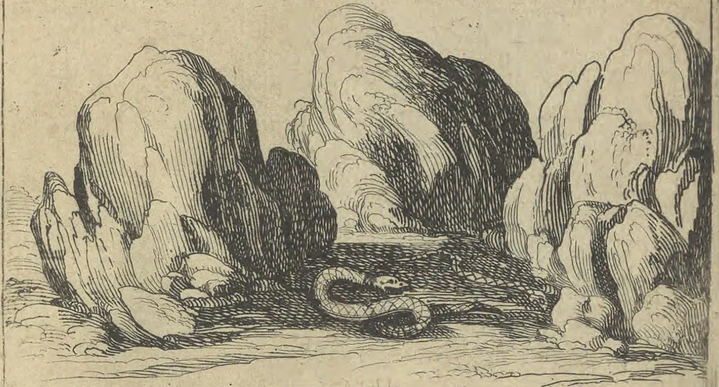 An illustration from Lvx clavstri, La lvmiere dv cloistre, 1646, leaf 26