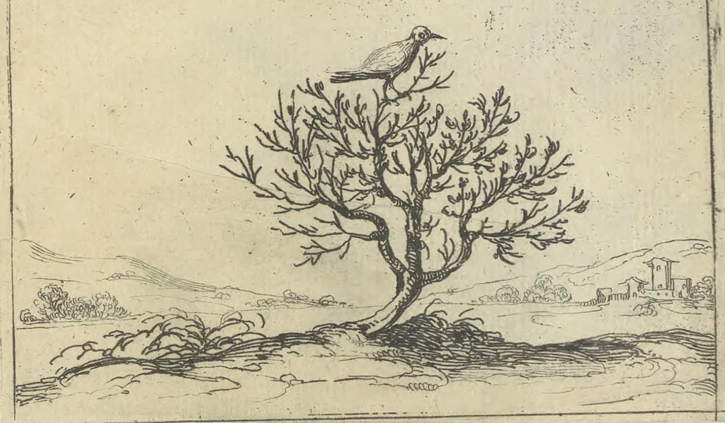 An illustration from Lvx clavstri, La lvmiere dv cloistre, 1646, leaf 36