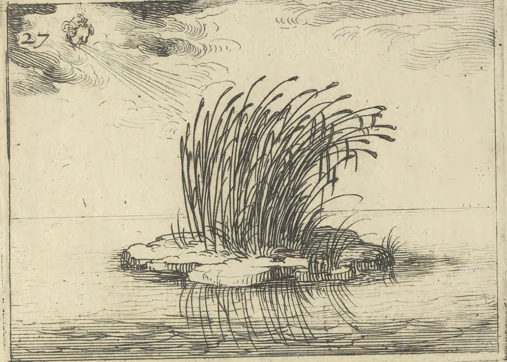 An illustration from Lvx clavstri, La lvmiere dv cloistre, 1646, leaf 62