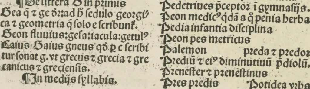 An illustration from Gra[m]matica Nicolai Perotti,, 1497, leaf 215