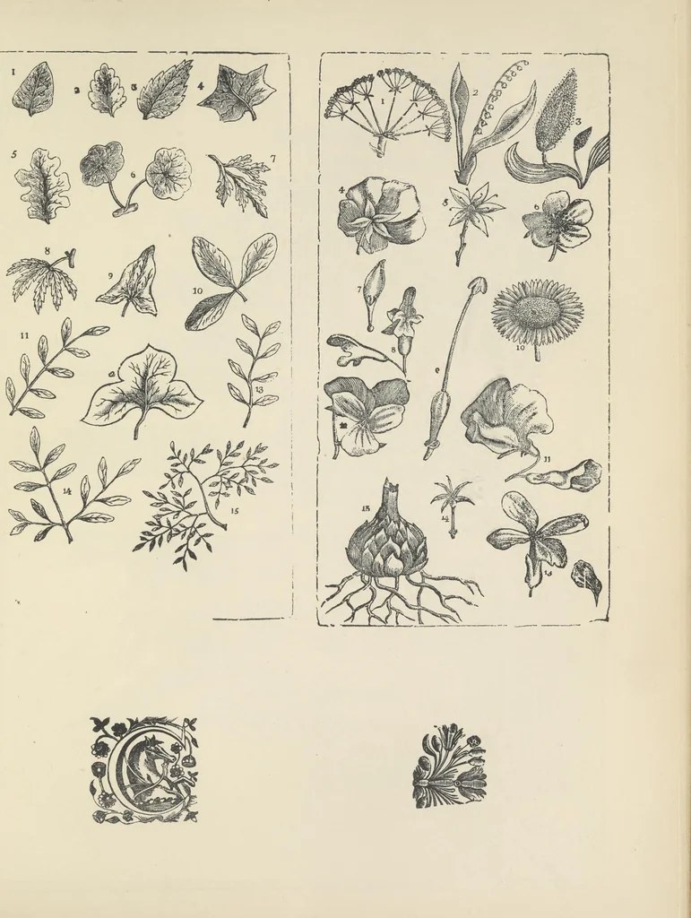 An illustration from Specimens of early wood engraving : being impressions of woodcuts from the collection of Mr. Charnley, Newcastle, 1858, leaf 112