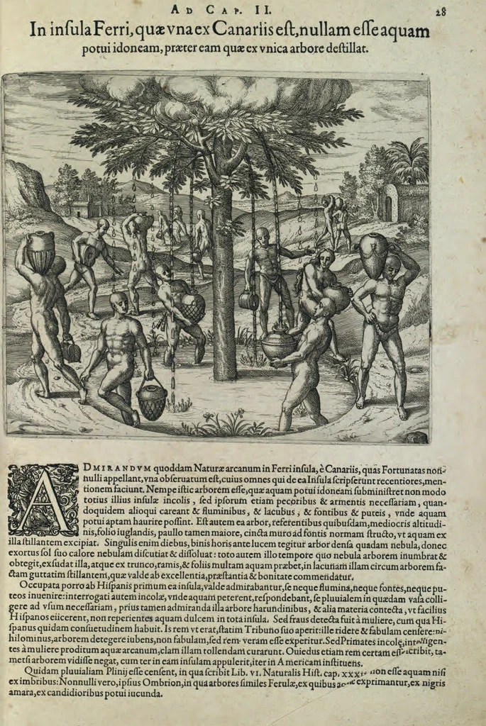 An illustration from Americae pars sexta, sive, Historiae ab Hieronymo Be[n]zono Mediolane[n]se scriptae, sectio tertia, res no[n] minus nobiles & admiratione plenas continens, quàm praecedentes duae : in hac enim reperies, qua ratione Hispani opule[n]tissimas illas Peruäni regni provincias occuparint, capto Rege Atabaliba, dei[n]de orta inter ipsos Hispanos in eo regno civilia bella : additus est brevis de Fortunatis insulis co[m]mentariolus in duo capita distinctus : item additiones ad singula capita historiam illustrantes : accessit Peruäni regni chorographica tabula, 1596, leaf 176