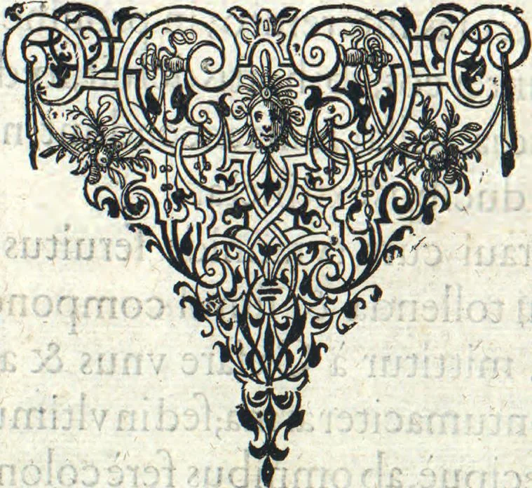 An illustration from Americae pars sexta, sive, Historiae ab Hieronymo Be[n]zono Mediolane[n]se scriptae, sectio tertia, res no[n] minus nobiles & admiratione plenas continens, quàm praecedentes duae : in hac enim reperies, qua ratione Hispani opule[n]tissimas illas Peruäni regni provincias occuparint, capto Rege Atabaliba, dei[n]de orta inter ipsos Hispanos in eo regno civilia bella : additus est brevis de Fortunatis insulis co[m]mentariolus in duo capita distinctus : item additiones ad singula capita historiam illustrantes : accessit Peruäni regni chorographica tabula, 1596, leaf 9