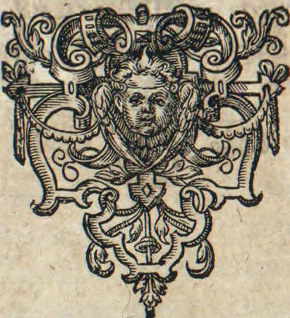 An illustration from Americae pars sexta, sive, Historiae ab Hieronymo Be[n]zono Mediolane[n]se scriptae, sectio tertia, res no[n] minus nobiles & admiratione plenas continens, quàm praecedentes duae : in hac enim reperies, qua ratione Hispani opule[n]tissimas illas Peruäni regni provincias occuparint, capto Rege Atabaliba, dei[n]de orta inter ipsos Hispanos in eo regno civilia bella : additus est brevis de Fortunatis insulis co[m]mentariolus in duo capita distinctus : item additiones ad singula capita historiam illustrantes : accessit Peruäni regni chorographica tabula, 1596, leaf 91