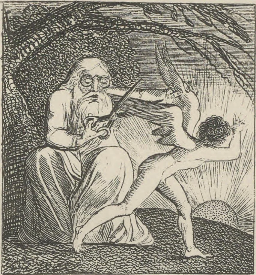 An illustration from For the sexes: the gates of Paradise, 1913, leaf 25