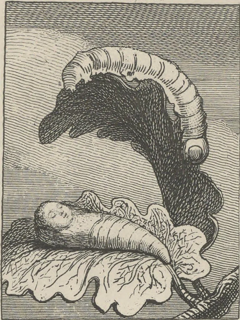 An illustration from For the sexes: the gates of Paradise, 1913, leaf 3