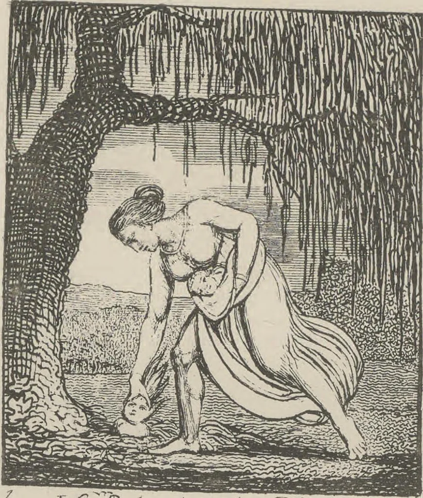 An illustration from For the sexes: the gates of Paradise, 1913, leaf 5