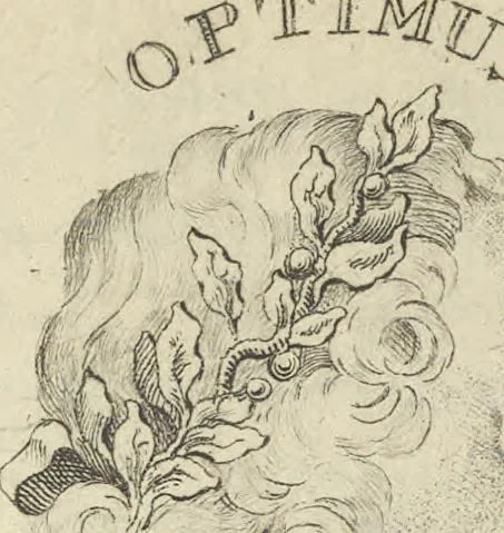 An illustration from A political and satirical history of the years 1756, 1757, 1758, 1759, 1760, 1761, and 1762. : In a series of 112 humourous and entertaining prints. Contraining all the most remarkable transactions, characters and caricatures of those memorable years. To which is annexed, an explanatory account or key to every print, 1762, leaf 110