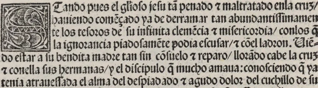 An illustration from Thesoro dela Passion sacratissima de Nuestro Redemptor, 1494, leaf 213