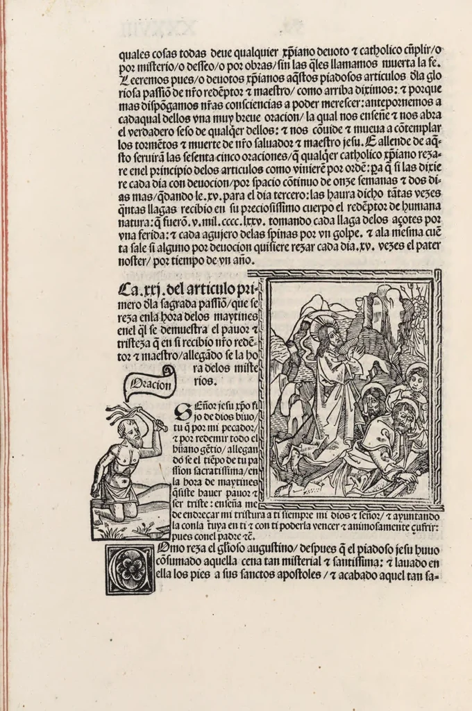 An illustration from Thesoro dela Passion sacratissima de Nuestro Redemptor, 1494, leaf 81