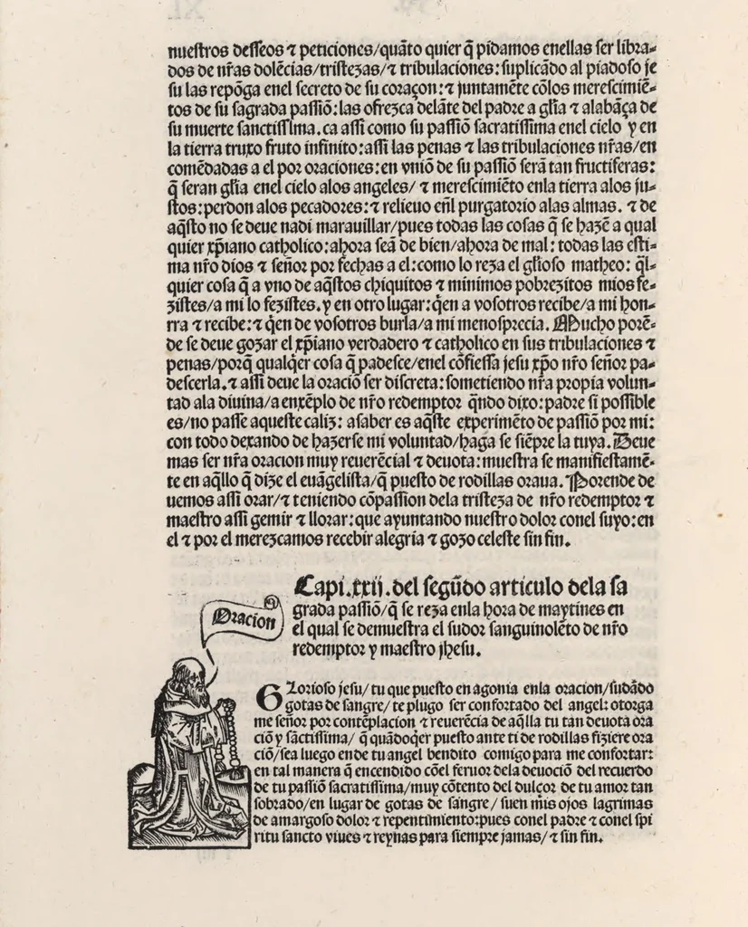 An illustration from Thesoro dela Passion sacratissima de Nuestro Redemptor, 1494, leaf 85
