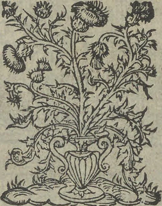 An illustration from Baliverneries, ov Contes novveaux d'Eutrapel [pseud.] autrement dit Leon Ladulfi. Paris, E. Groulleau, libraire, 1548, 1815, leaf 10