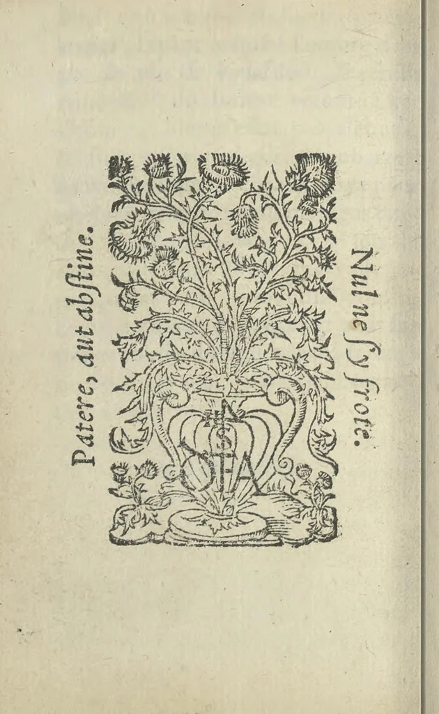 An illustration from Baliverneries, ov Contes novveaux d'Eutrapel [pseud.] autrement dit Leon Ladulfi. Paris, E. Groulleau, libraire, 1548, 1815, leaf 107