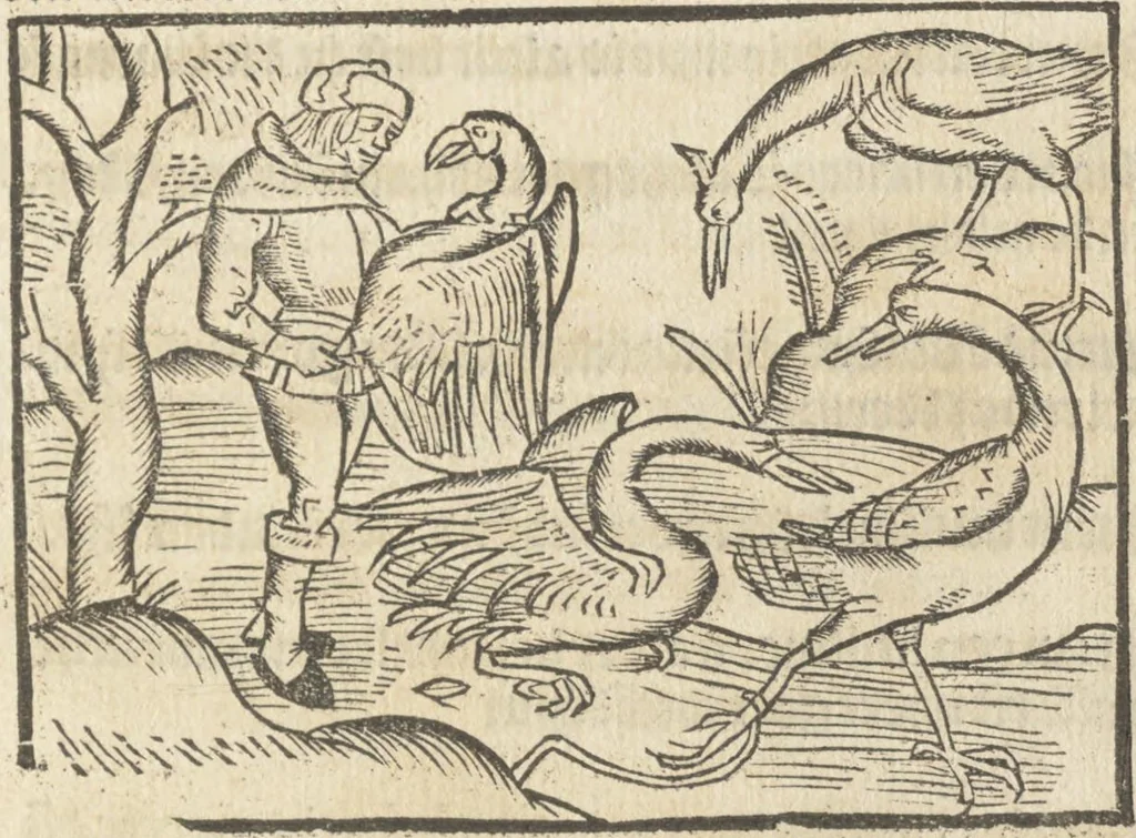 An illustration from Dit boecxken leert hoe men mach voghelen vanghen metten handen. Ende hoemen mach visschen vanghe[n] mette[n] handen ande oeck andersins, 1500, leaf 18