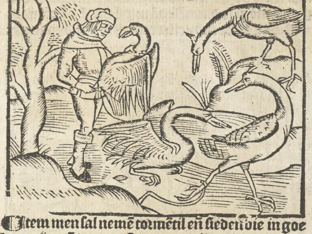 An illustration from Dit boecxken leert hoe men mach voghelen vanghen metten handen. Ende hoemen mach visschen vanghe[n] mette[n] handen ande oeck andersins, 1500, leaf 8