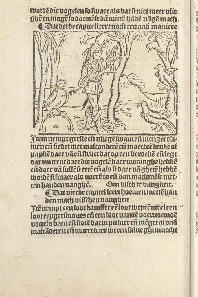 An illustration from Dit boecxken leert hoe men mach voghelen vanghen metten handen. Ende hoemen mach visschen vanghe[n] mette[n] handen ande oeck andersins, 1500, leaf 9