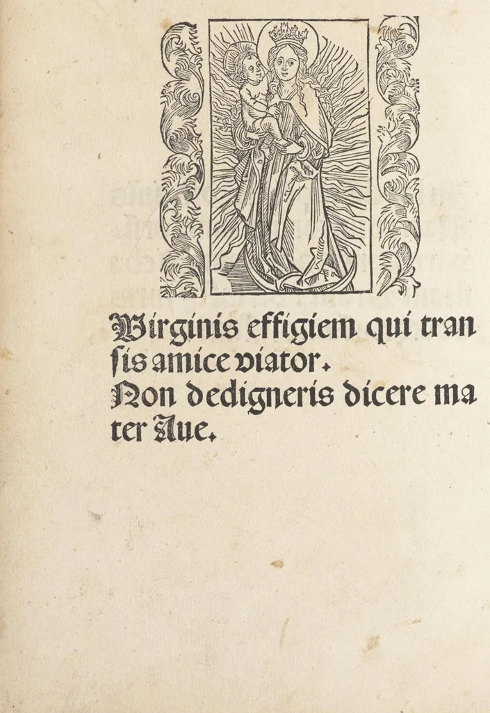 An illustration from In laude[m] gloriose Virginis Marie multoru[m]q[ue] Sanctoru[m] varij generis carmina Sebastiani Brant, 1494, leaf 19