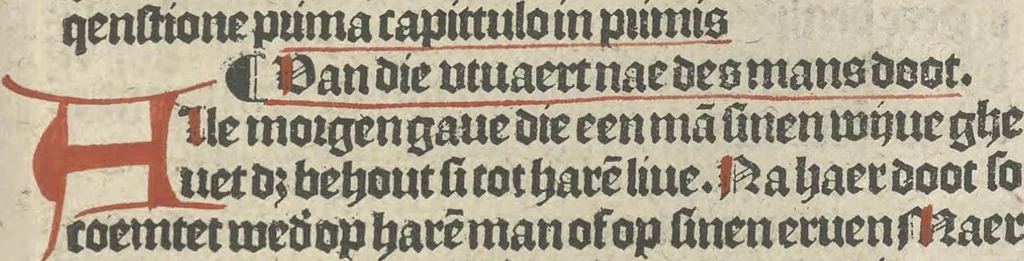 An illustration from Den spiegel van Sassen va[n] allen keyserlijken rechten, 1504, leaf 100