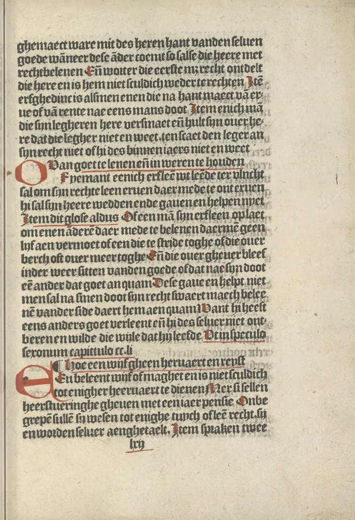 An illustration from Den spiegel van Sassen va[n] allen keyserlijken rechten, 1504, leaf 104