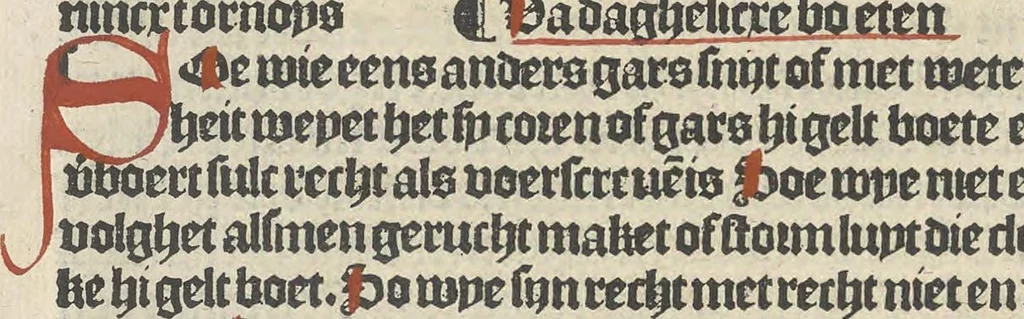 An illustration from Den spiegel van Sassen va[n] allen keyserlijken rechten, 1504, leaf 69
