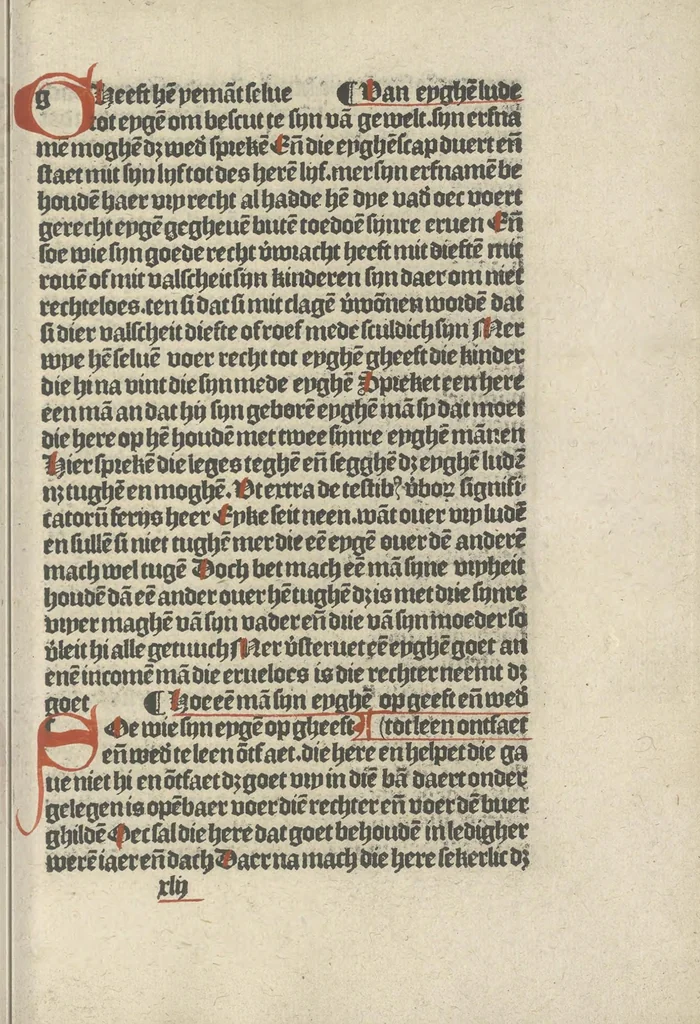 An illustration from Den spiegel van Sassen va[n] allen keyserlijken rechten, 1504, leaf 74