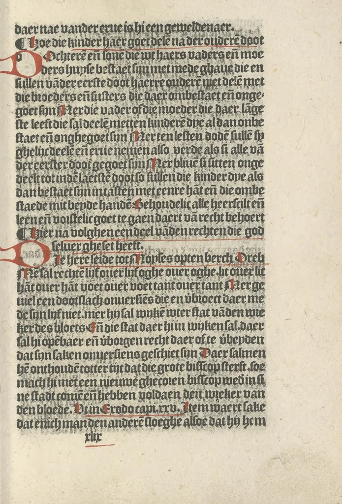 An illustration from Den spiegel van Sassen va[n] allen keyserlijken rechten, 1504, leaf 84