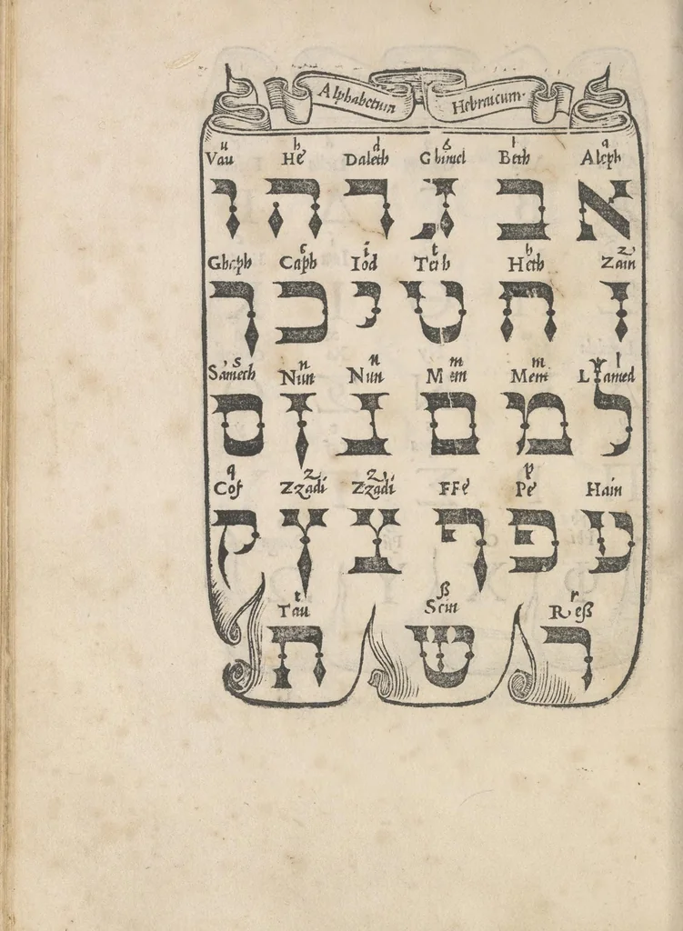 An illustration from Libro di M. Giouanbattista Palatino, cittadino romano, nelqual s'insegna à scriuere ogni sorte lettera, antica, et moderna, di qualunque natione, con le sue regole, et misure, et essempi : et con vn breue, et vtil discorso de le cifre, 1545, leaf 103
