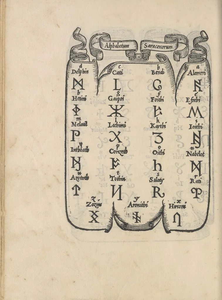 An illustration from Libro di M. Giouanbattista Palatino, cittadino romano, nelqual s'insegna à scriuere ogni sorte lettera, antica, et moderna, di qualunque natione, con le sue regole, et misure, et essempi : et con vn breue, et vtil discorso de le cifre, 1545, leaf 113