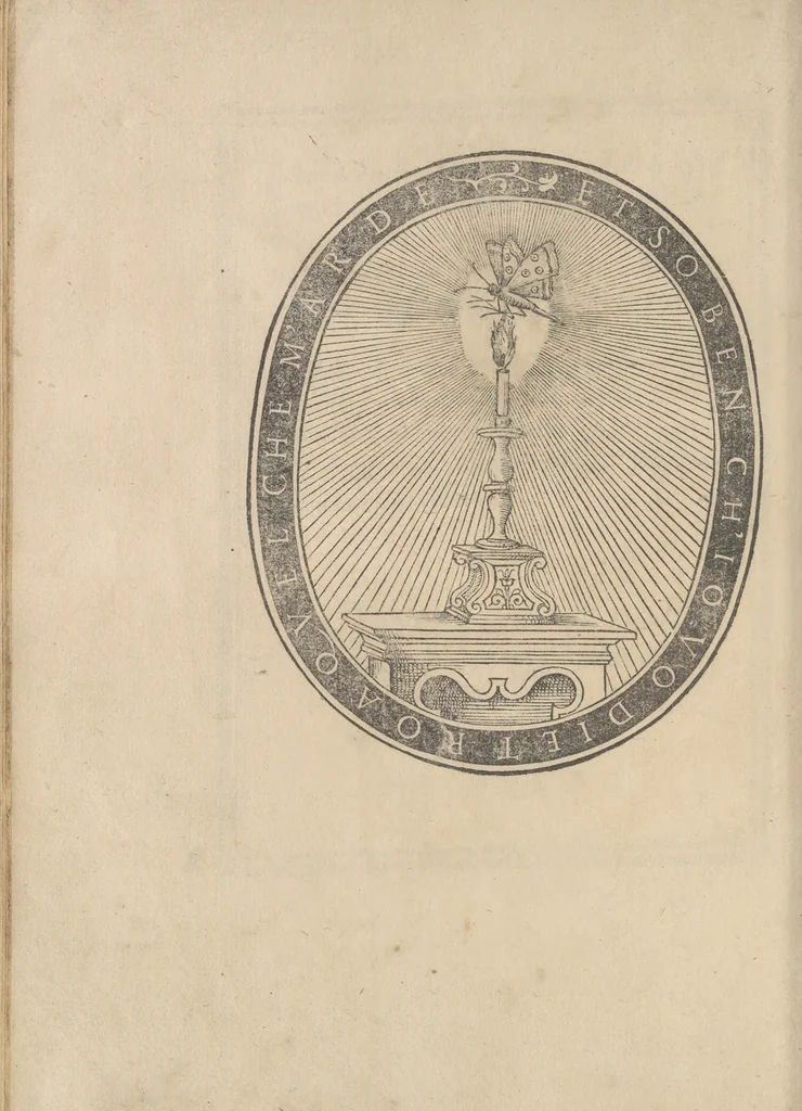 An illustration from Libro di M. Giouanbattista Palatino, cittadino romano, nelqual s'insegna à scriuere ogni sorte lettera, antica, et moderna, di qualunque natione, con le sue regole, et misure, et essempi : et con vn breue, et vtil discorso de le cifre, 1545, leaf 133