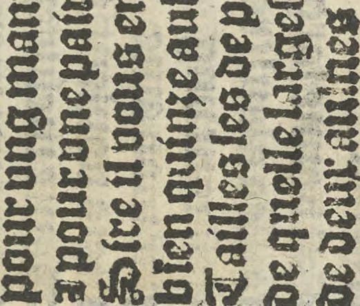 An illustration from Vocabulario para aprender franches, espannol y flaminco = Vocabulaire pour apprendre fra[n]choys, espagnol et flaming = Vocabulare om te leerene walsch, spaensch, ende vlaemsch, 1520, leaf 20