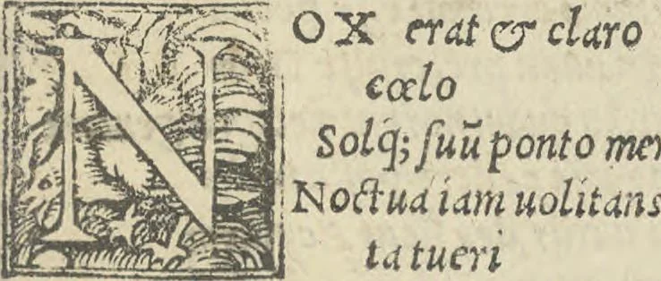 An illustration from Nic[olai] B[rontii] Car[men] ad Opt[imum] Max[imum] Fort[issimum] Invic[tissimum] et Pien[tissimum] Princ[ipem] D[omin]i Car[olum] Quin[tum] Imp[eratorum] Caes[aerem] S[emper] A[ugustem], 1541, leaf 32