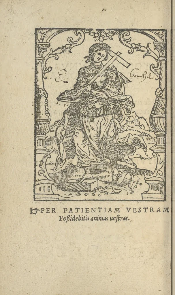 An illustration from Nic[olai] B[rontii] Car[men] ad Opt[imum] Max[imum] Fort[issimum] Invic[tissimum] et Pien[tissimum] Princ[ipem] D[omin]i Car[olum] Quin[tum] Imp[eratorum] Caes[aerem] S[emper] A[ugustem], 1541, leaf 47