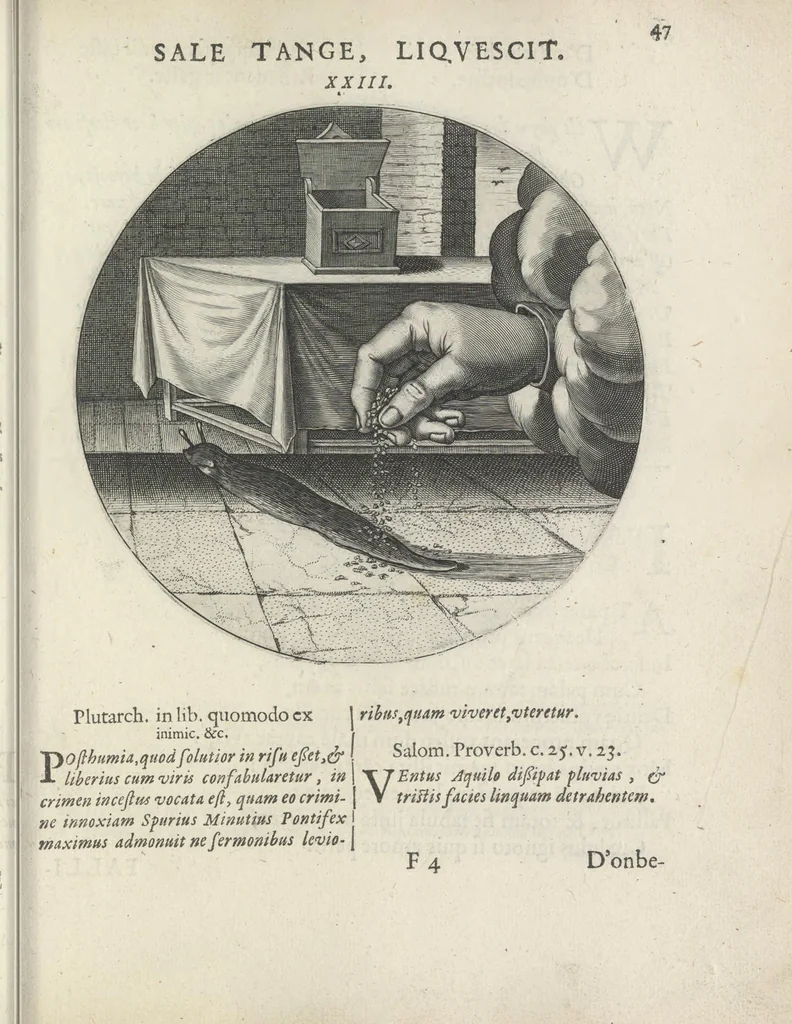 An illustration from Maechden-pflicht ofte ampt der ionck-vrovvven in eerbaer liefde aen-ghewesen door sinne-beelden. Officivm puellarum in castis amoribus emblemate expressum, 1618, leaf 66
