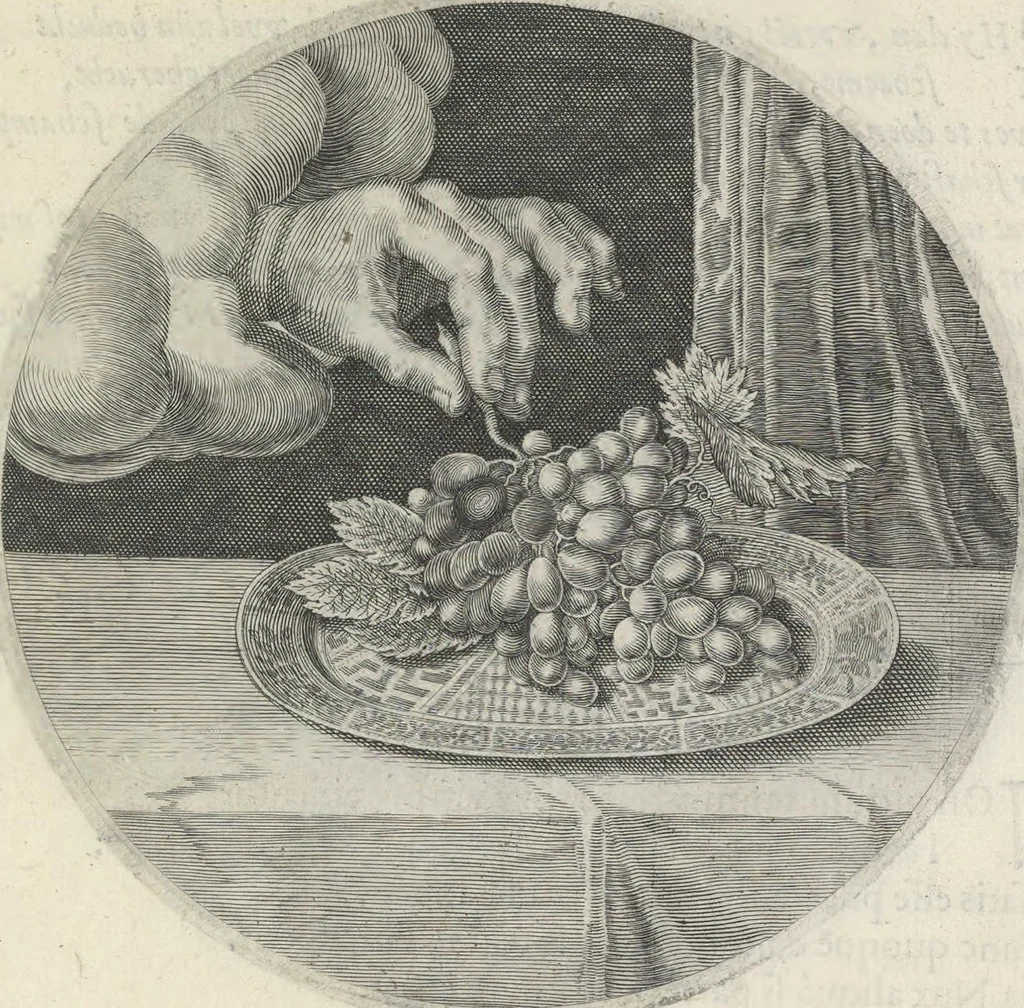 An illustration from Maechden-pflicht ofte ampt der ionck-vrovvven in eerbaer liefde aen-ghewesen door sinne-beelden. Officivm puellarum in castis amoribus emblemate expressum, 1618, leaf 74