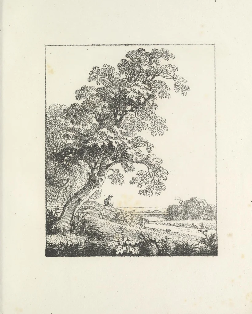 An illustration from Erste im Königreich Sachsen erschienene Sammlung artistischer Versuche im Steindrucke, 1806, leaf 30