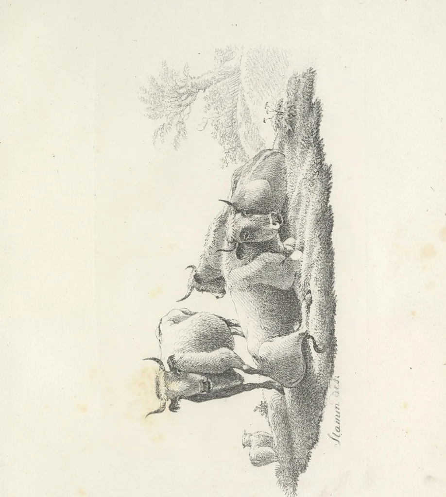 An illustration from Erste im Königreich Sachsen erschienene Sammlung artistischer Versuche im Steindrucke, 1806, leaf 38