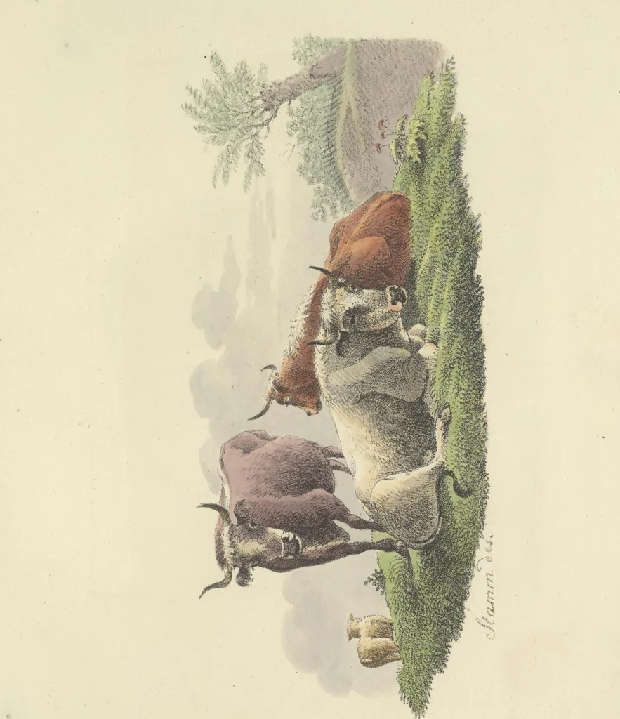 An illustration from Erste im Königreich Sachsen erschienene Sammlung artistischer Versuche im Steindrucke, 1806, leaf 42