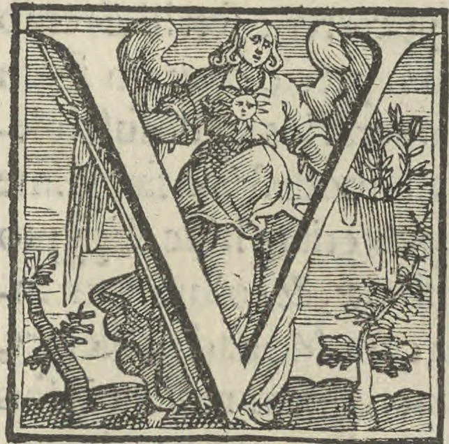 An illustration from Illvstrivm anachoretarvm elogia, siue Religiosi viri mvsaevm, 1625, leaf 102