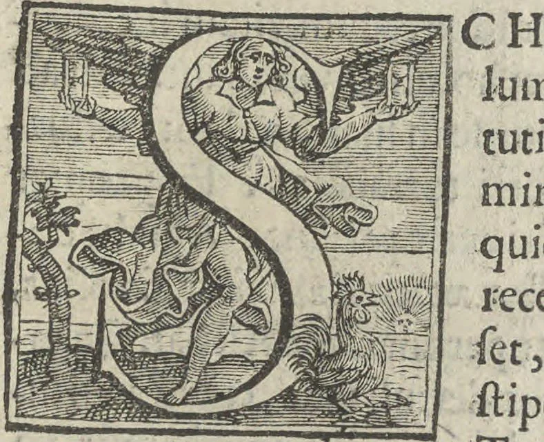 An illustration from Illvstrivm anachoretarvm elogia, siue Religiosi viri mvsaevm, 1625, leaf 106