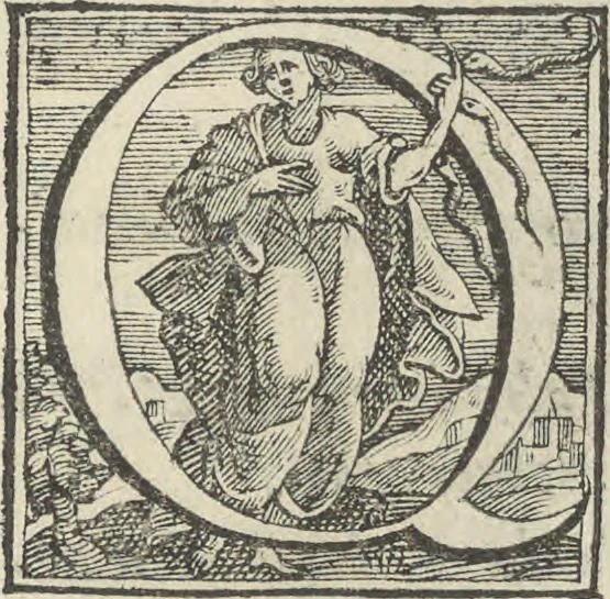 An illustration from Illvstrivm anachoretarvm elogia, siue Religiosi viri mvsaevm, 1625, leaf 150