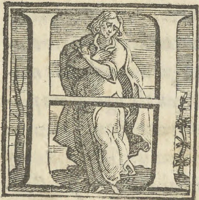 An illustration from Illvstrivm anachoretarvm elogia, siue Religiosi viri mvsaevm, 1625, leaf 182