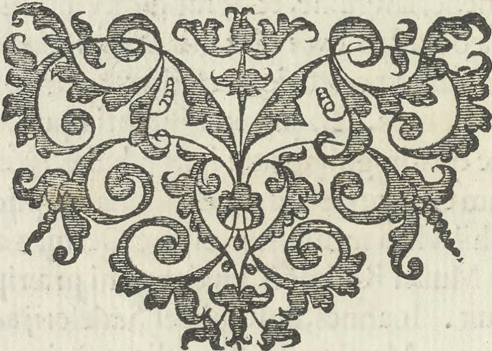 An illustration from Illvstrivm anachoretarvm elogia, siue Religiosi viri mvsaevm, 1625, leaf 25