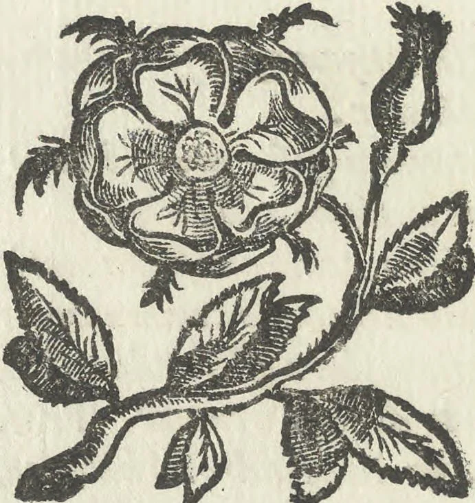An illustration from Illvstrivm anachoretarvm elogia, siue Religiosi viri mvsaevm, 1625, leaf 31